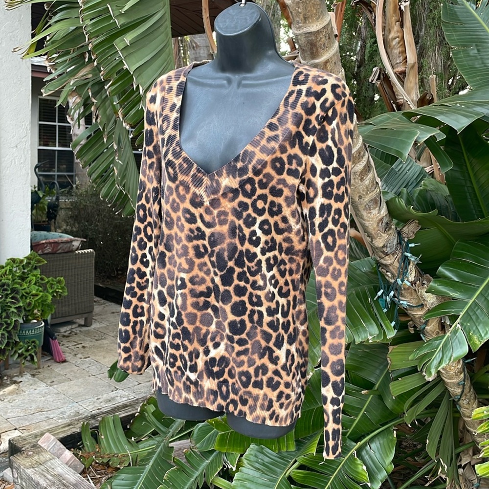 Express leopard print, deep V-neck sweater or top